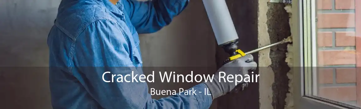 Cracked Window Repair Buena Park - IL