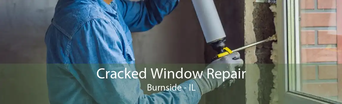 Cracked Window Repair Burnside - IL