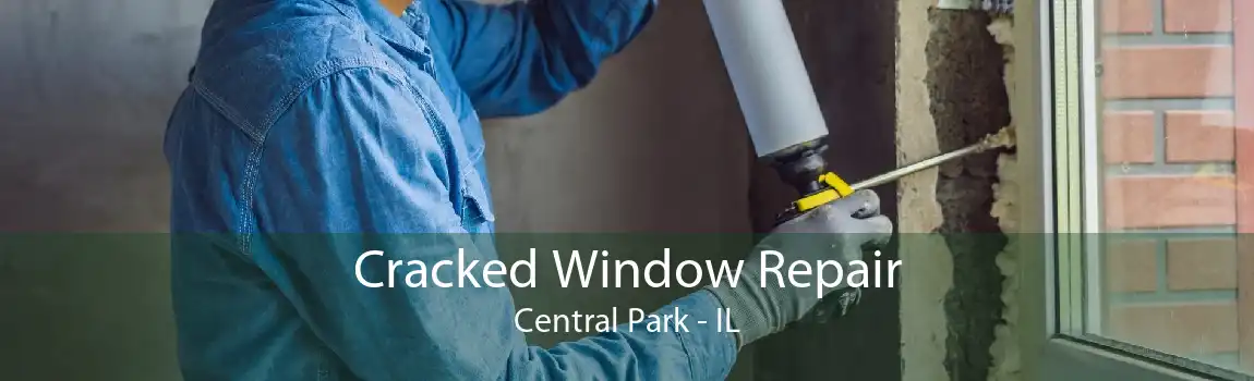 Cracked Window Repair Central Park - IL