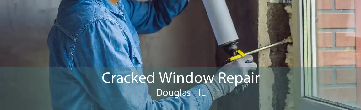 Cracked Window Repair Douglas - IL