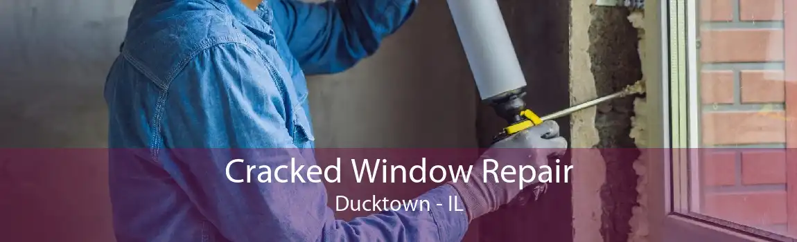 Cracked Window Repair Ducktown - IL