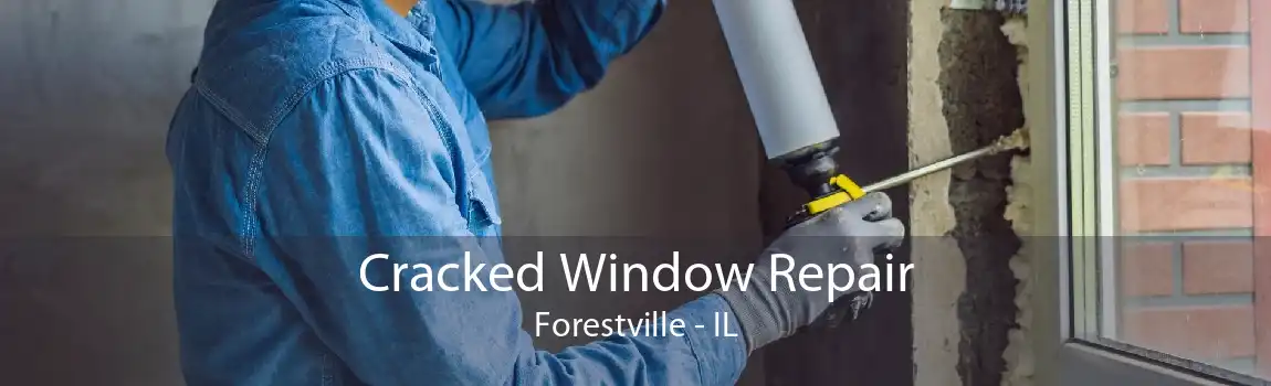 Cracked Window Repair Forestville - IL