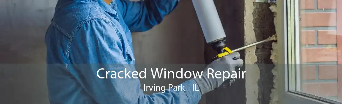 Cracked Window Repair Irving Park - IL