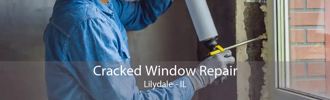 Cracked Window Repair Lilydale - IL