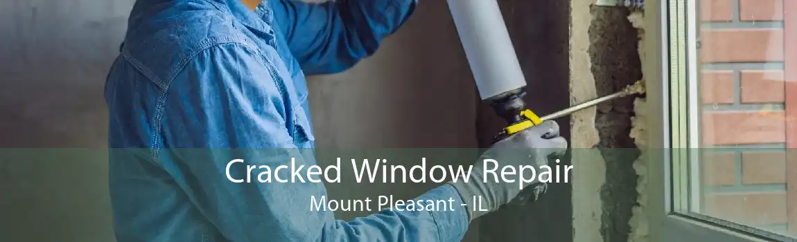 Cracked Window Repair Mount Pleasant - IL