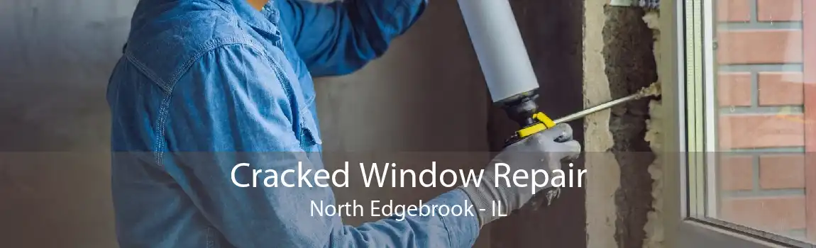 Cracked Window Repair North Edgebrook - IL