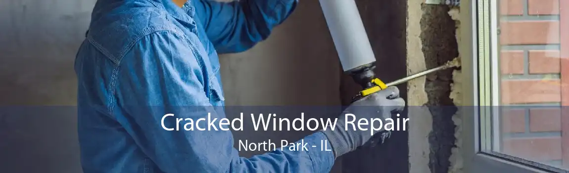 Cracked Window Repair North Park - IL