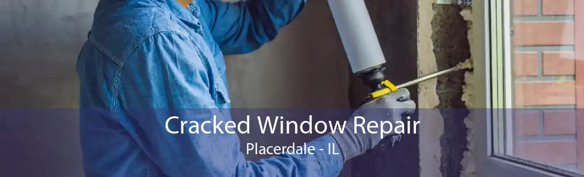 Cracked Window Repair Placerdale - IL