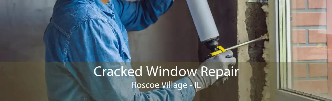 Cracked Window Repair Roscoe Village - IL