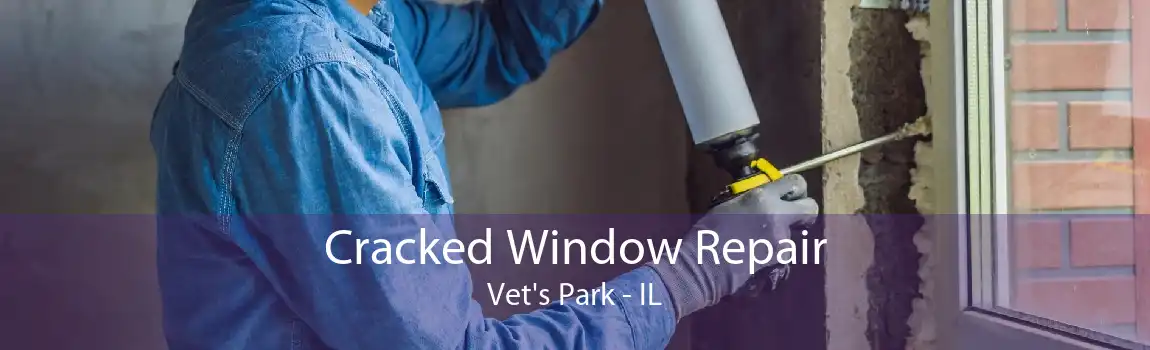 Cracked Window Repair Vet's Park - IL