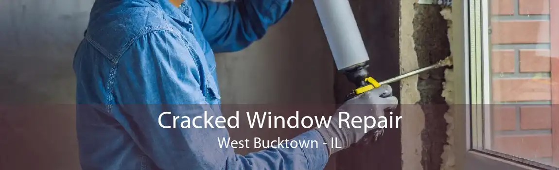 Cracked Window Repair West Bucktown - IL