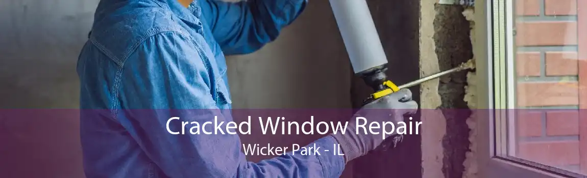 Cracked Window Repair Wicker Park - IL