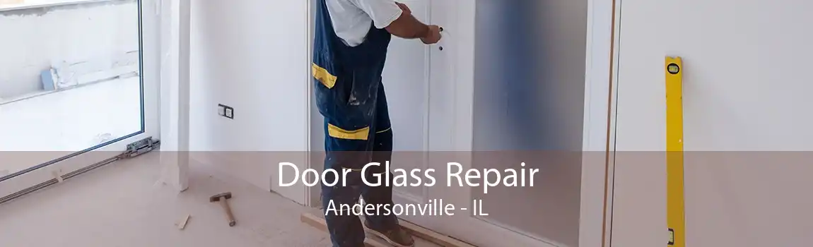 Door Glass Repair Andersonville - IL