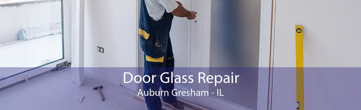 Door Glass Repair Auburn Gresham - IL