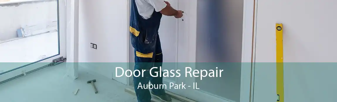 Door Glass Repair Auburn Park - IL