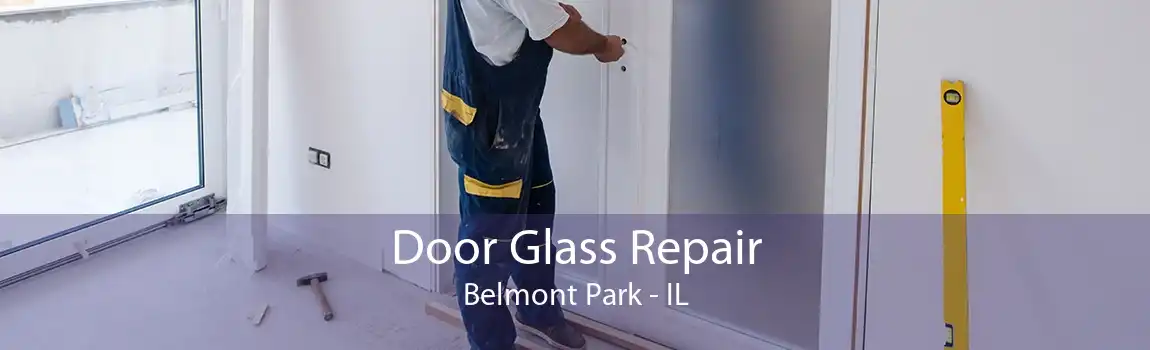 Door Glass Repair Belmont Park - IL