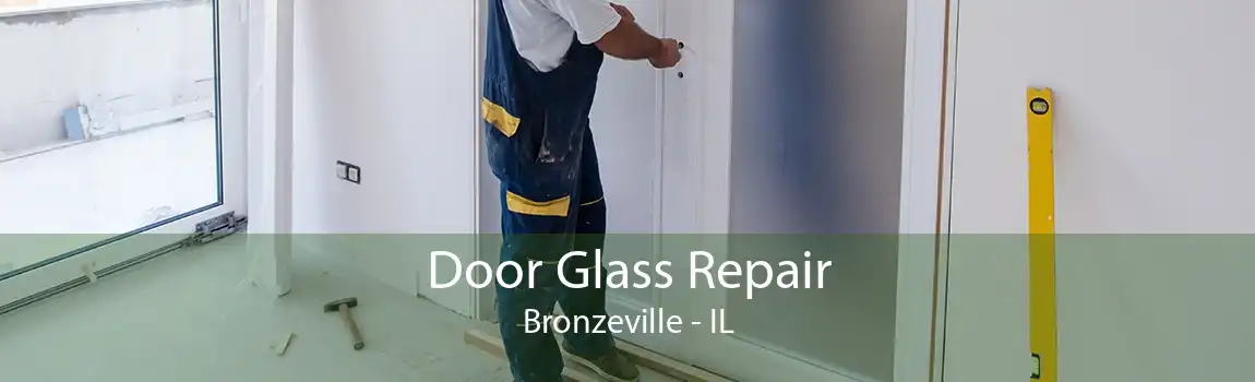 Door Glass Repair Bronzeville - IL