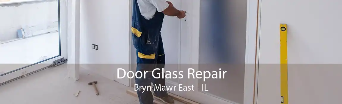 Door Glass Repair Bryn Mawr East - IL