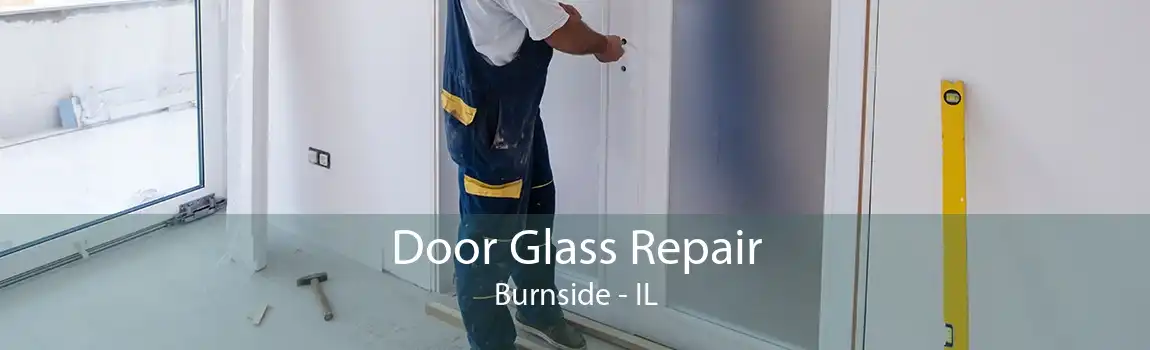 Door Glass Repair Burnside - IL