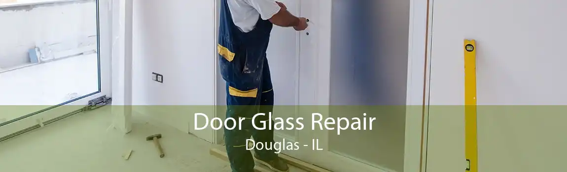 Door Glass Repair Douglas - IL