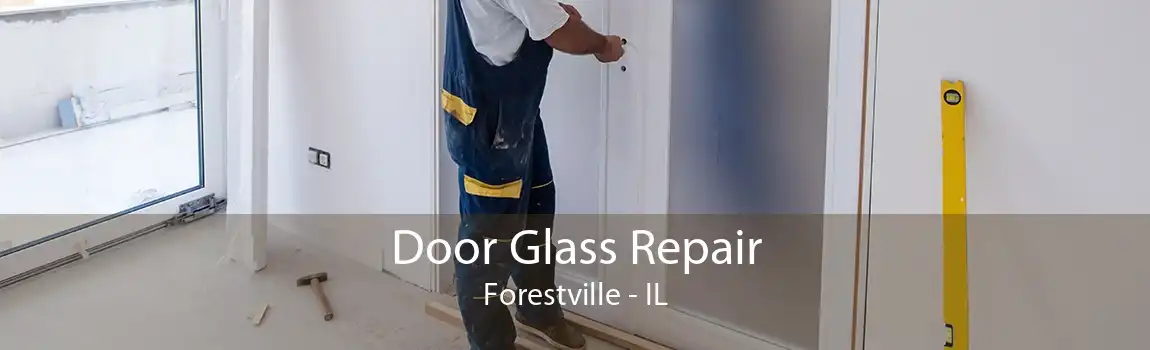 Door Glass Repair Forestville - IL