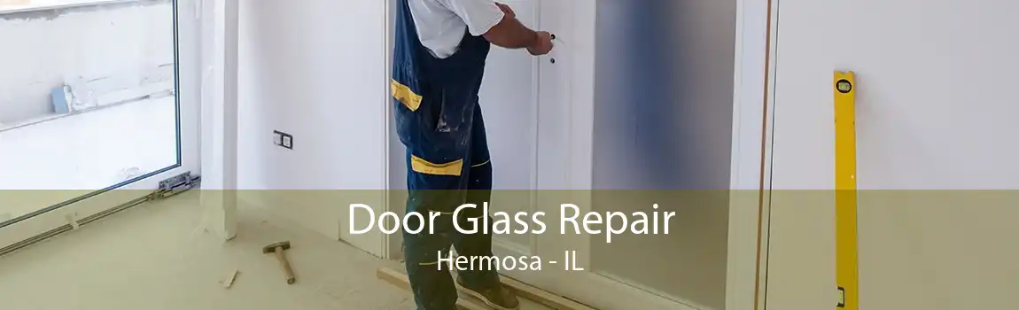 Door Glass Repair Hermosa - IL