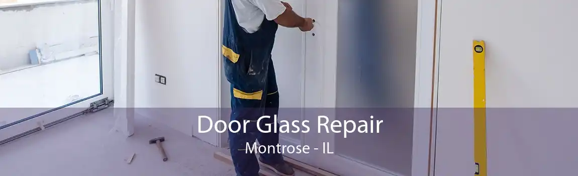 Door Glass Repair Montrose - IL