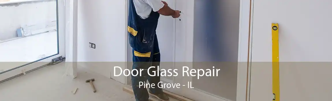 Door Glass Repair Pine Grove - IL