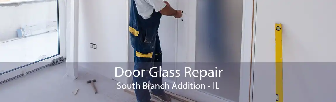 Door Glass Repair South Branch Addition - IL