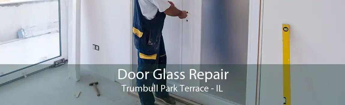 Door Glass Repair Trumbull Park Terrace - IL