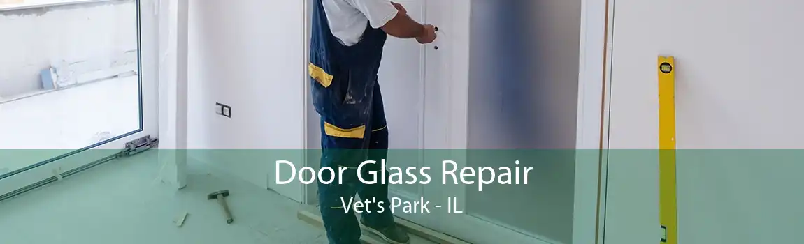 Door Glass Repair Vet's Park - IL