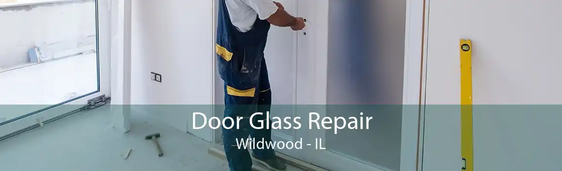 Door Glass Repair Wildwood - IL