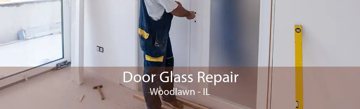 Door Glass Repair Woodlawn - IL