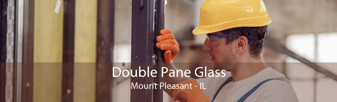 Double Pane Glass Mount Pleasant - IL