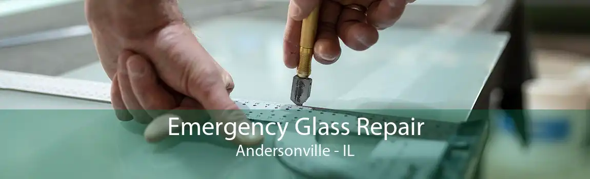 Emergency Glass Repair Andersonville - IL