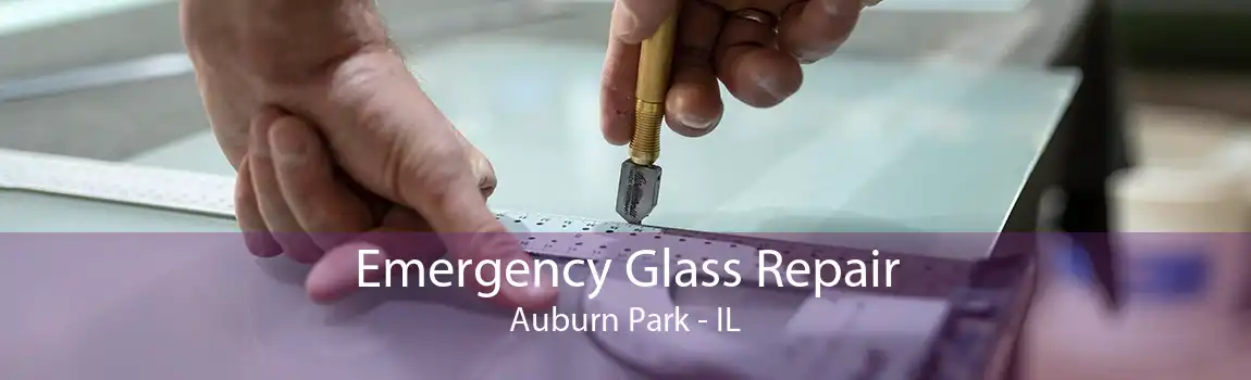 Emergency Glass Repair Auburn Park - IL