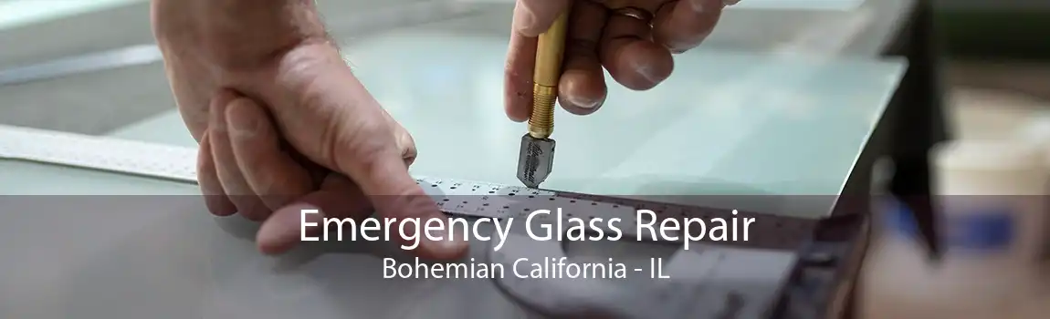 Emergency Glass Repair Bohemian California - IL