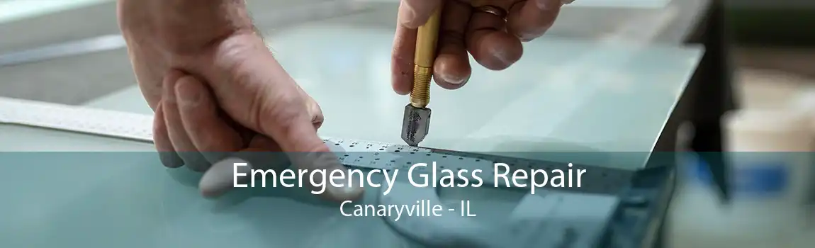 Emergency Glass Repair Canaryville - IL