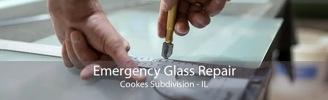 Emergency Glass Repair Cookes Subdivision - IL