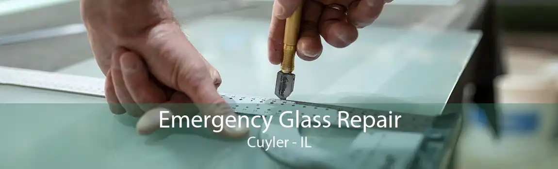 Emergency Glass Repair Cuyler - IL