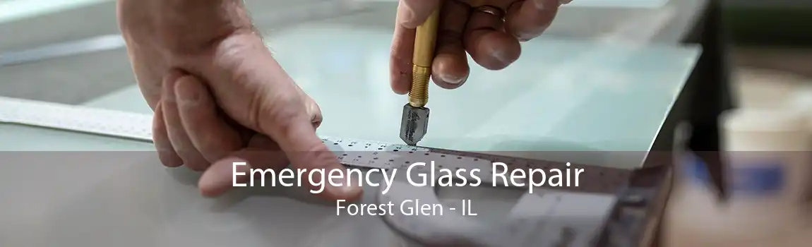 Emergency Glass Repair Forest Glen - IL