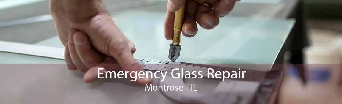 Emergency Glass Repair Montrose - IL