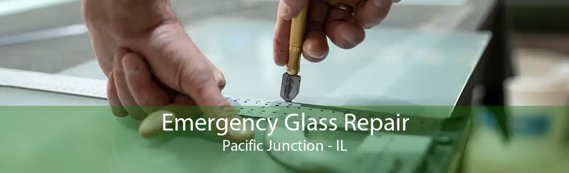 Emergency Glass Repair Pacific Junction - IL