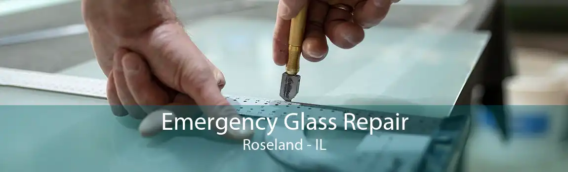 Emergency Glass Repair Roseland - IL