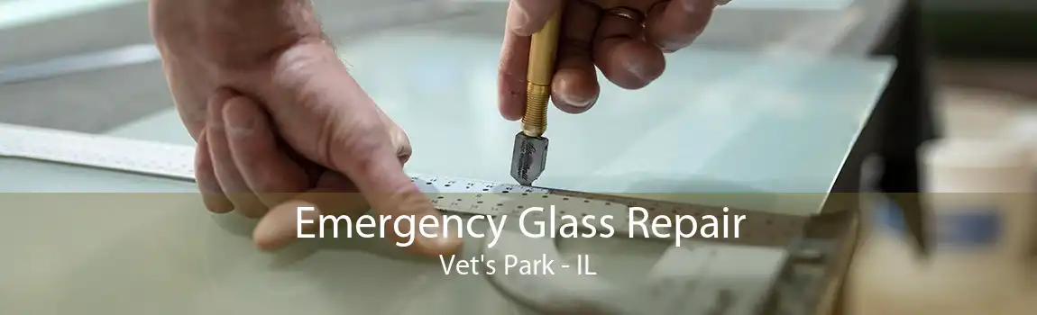 Emergency Glass Repair Vet's Park - IL