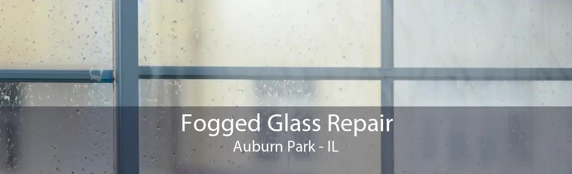 Fogged Glass Repair Auburn Park - IL