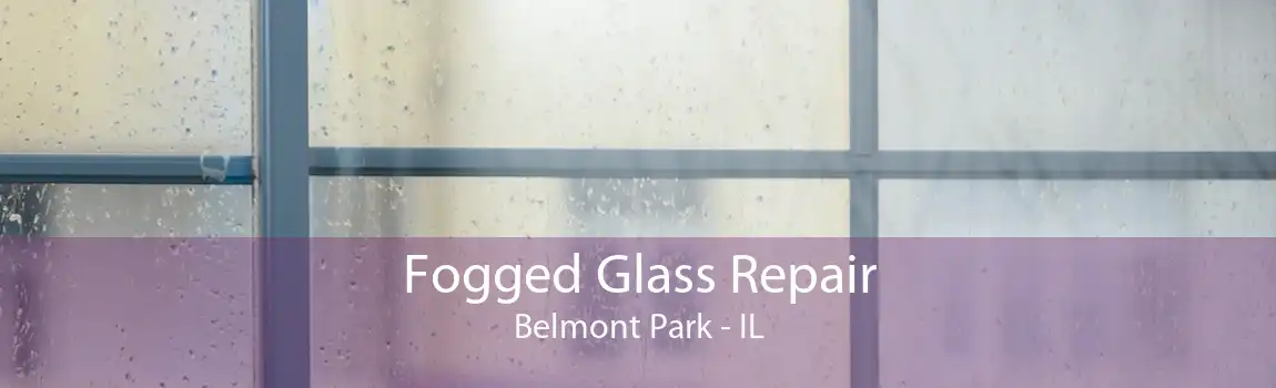 Fogged Glass Repair Belmont Park - IL