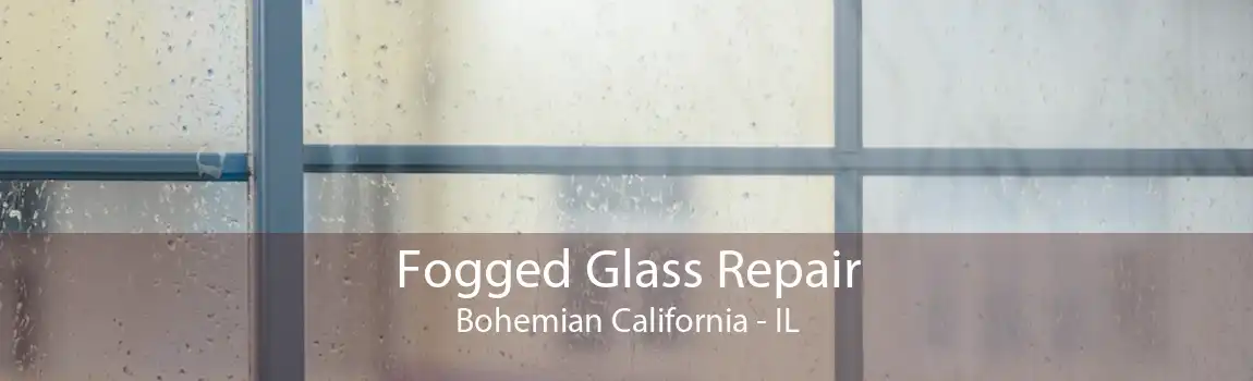 Fogged Glass Repair Bohemian California - IL