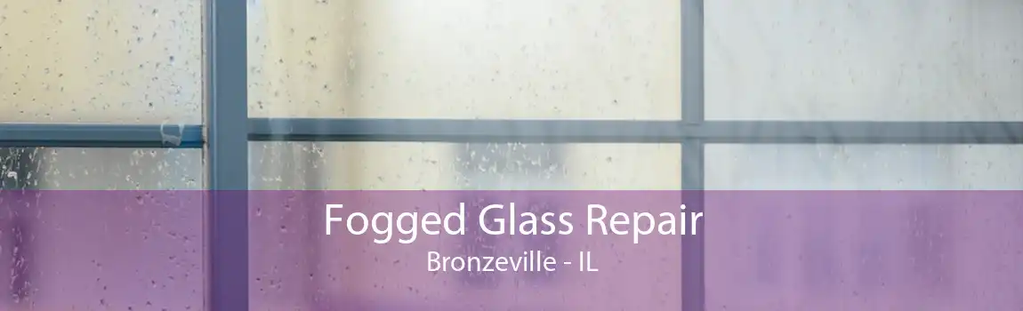 Fogged Glass Repair Bronzeville - IL