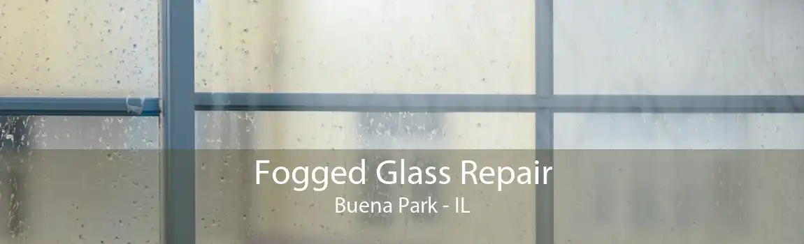 Fogged Glass Repair Buena Park - IL